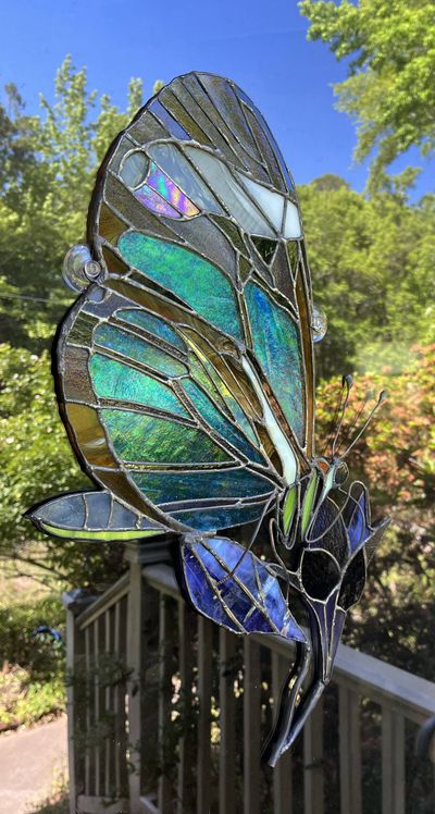 A stained-glass glasswing butterfly with iridescent blue-green transparent wing panels, amber wing edges, a black body, and slender antennae, mounted against a window.